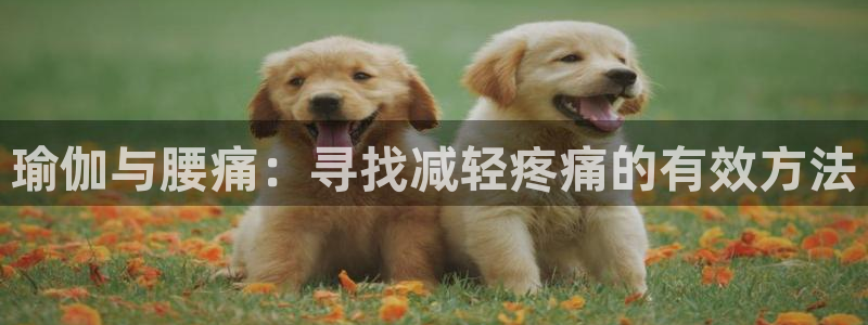 球进体育app下载