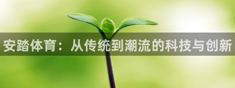 球进体育app