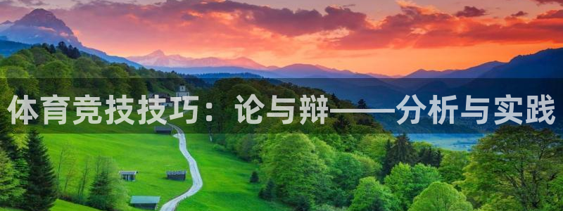 球进体育