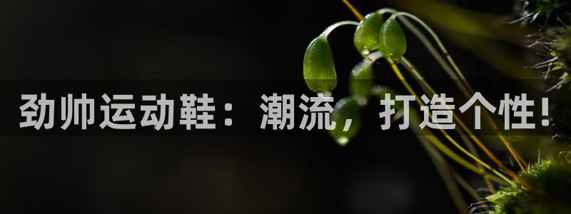 球进体育官方网站入口：劲帅运动鞋：潮流，打造个性!