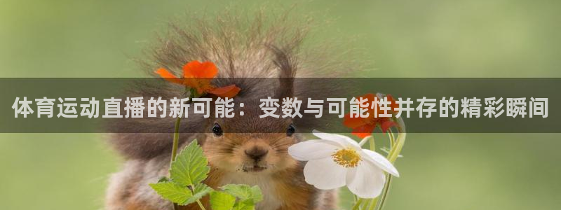 球进体育APP下载安装：体育运动直播的新可能：变数与可能性并存的精彩瞬间