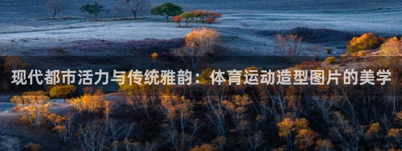 球进体育APP下载安装：现代都市活力与传统雅韵：体育运动造型图片的美学