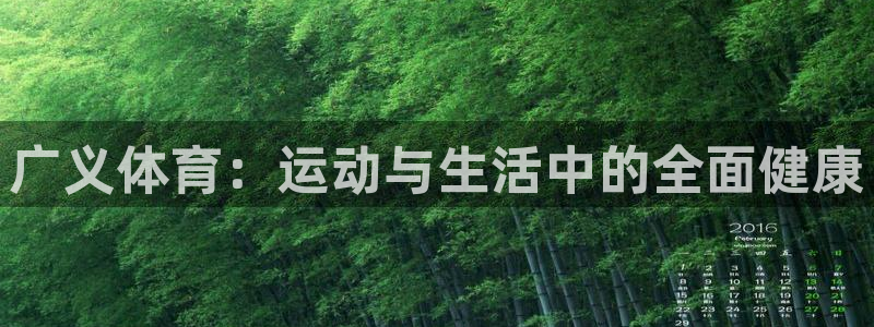 球进体育