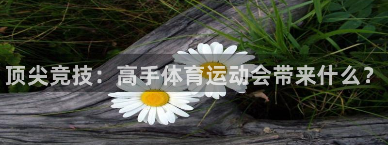 球进体育app下载：顶尖竞技：高手体育运动会带来什么？