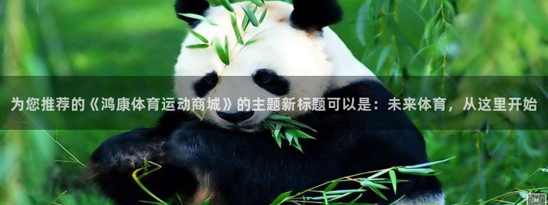 球进体育
